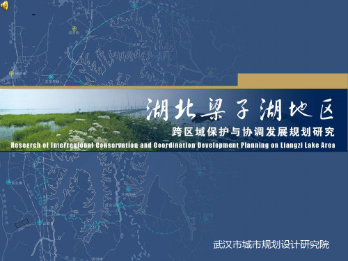 湖北梁子湖