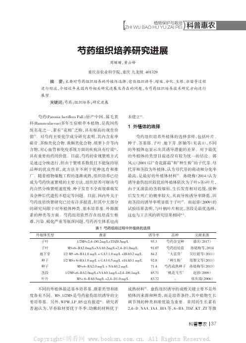 芍药组织培养研究进展