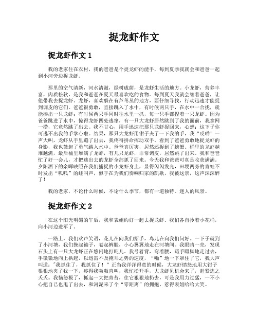 捉龙虾作文