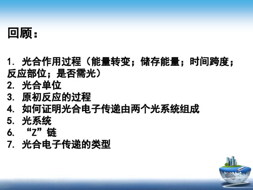 植物生理学：第5章 植物的光合作用--级-第3-4-(续)--
