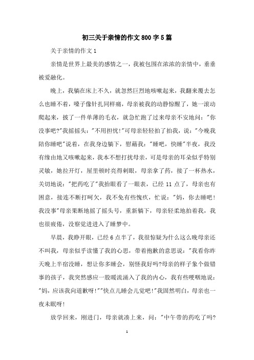 初三关于亲情的作文800字5篇