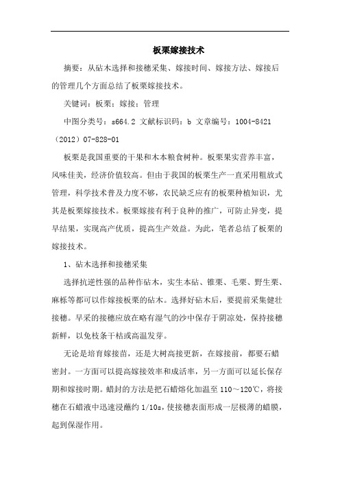 板栗嫁接技术