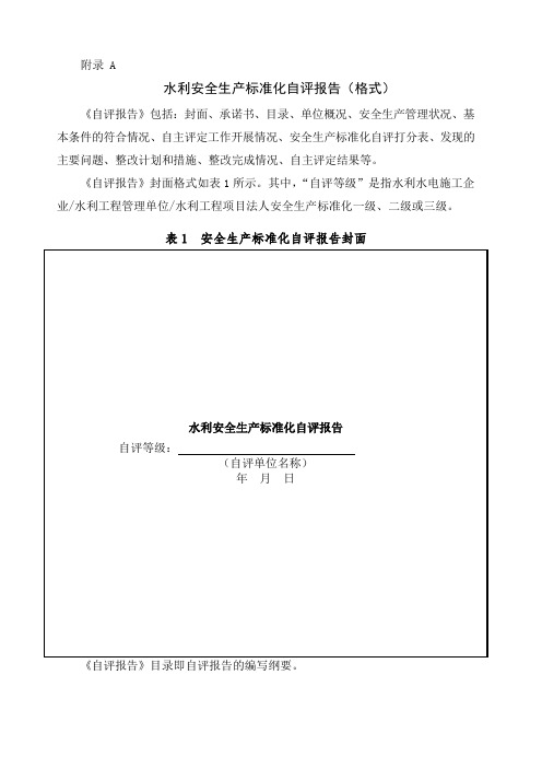 水利安全生产标准化自评报告