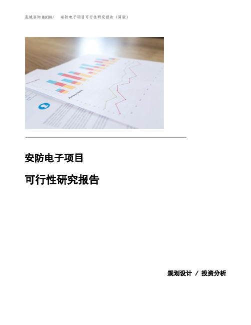 安防电子项目可行性研究报告(简版)