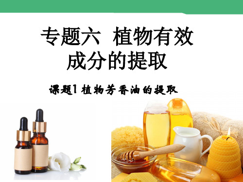 课题1 植物芳香油的提取 课件 (共24张PPT)