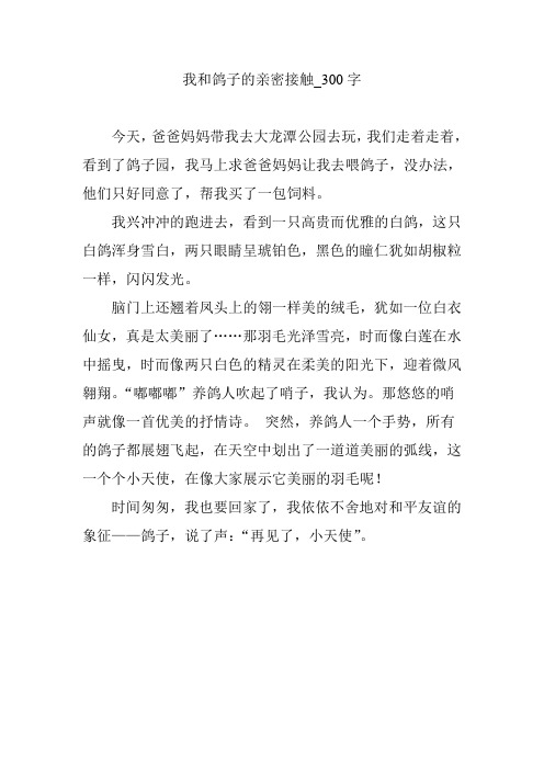 我和鸽子的亲密接触_300字