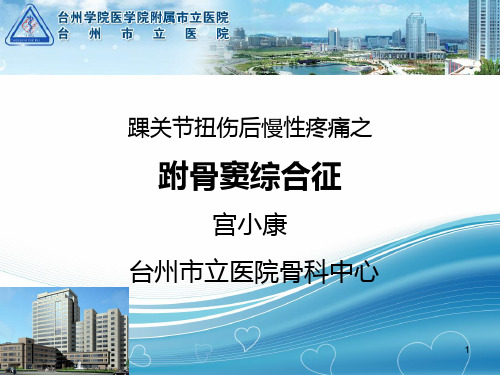 跗骨窦综合征PPT课件