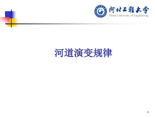 河道演变规律(课堂PPT)