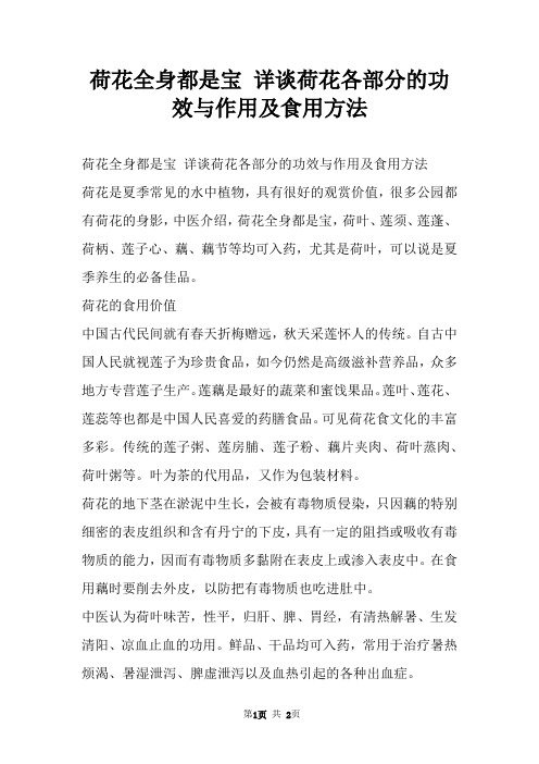 荷花全身都是宝 详谈荷花各部分的功效与作用及食用方法