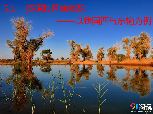 高中地理人教版必修3 5.1资源跨区域调配——以我国西气东输为例课件PPT(45张)