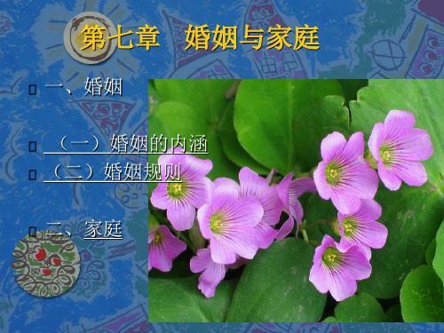文化人类学电子教案8
