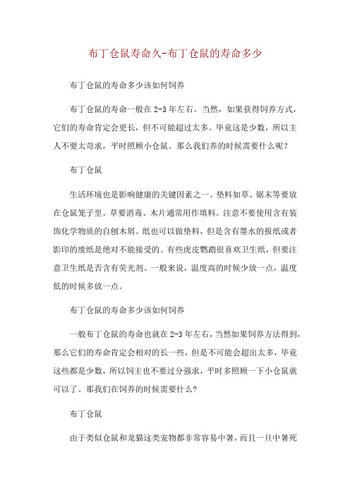 布丁仓鼠寿命久-布丁仓鼠的寿命多少