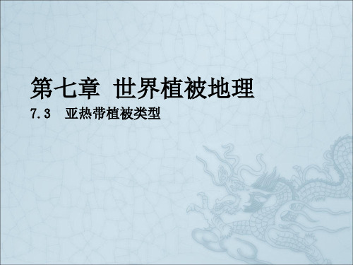 《亚热带植被类型》PPT课件
