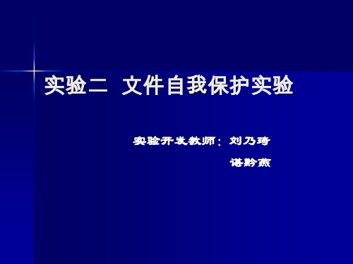 文件自我保护实验.ppt