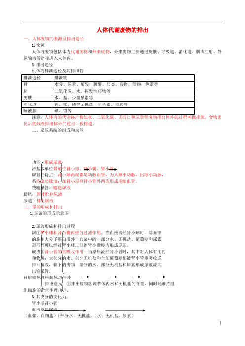 中考生物复人体代谢废物的排出知识点总结新人教版