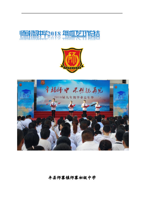 2018体卫艺总结