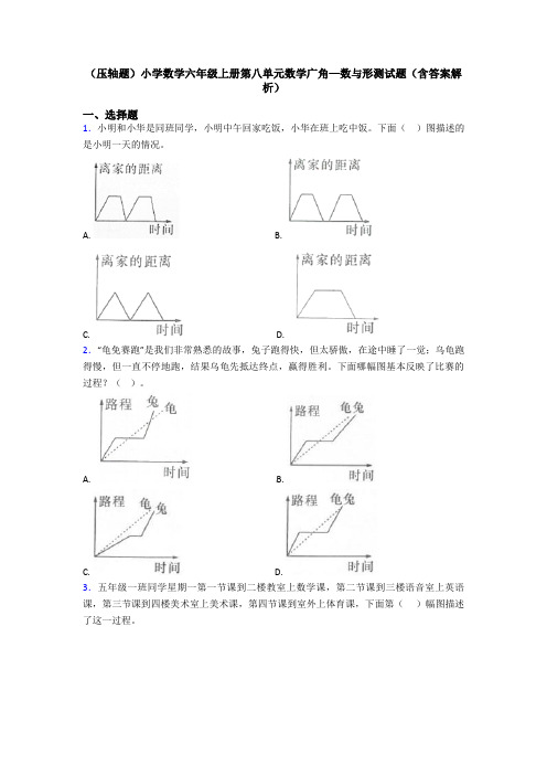 (压轴题)小学数学六年级上册第八单元数学广角—数与形测试题(含答案解析)