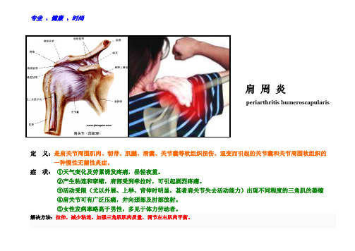 私人教练专业小常识