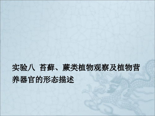 浙江大学2012植物学甲课件2012春夏植物学课件实验苔藓蕨类