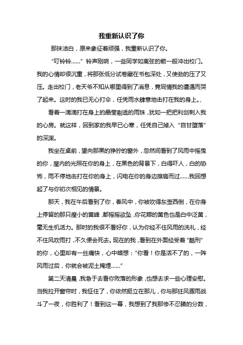 初三作文：我重新认识了你作文700字_1