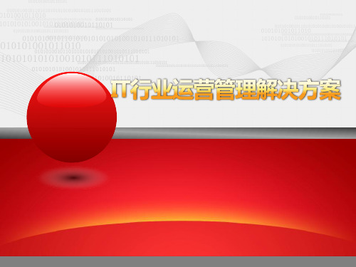 IT行业运营管理解决方案课件