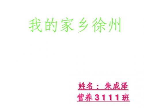 我的家乡徐州1