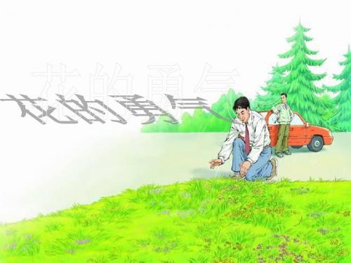 《花的勇气》PPT课件5 (共32张PPT)