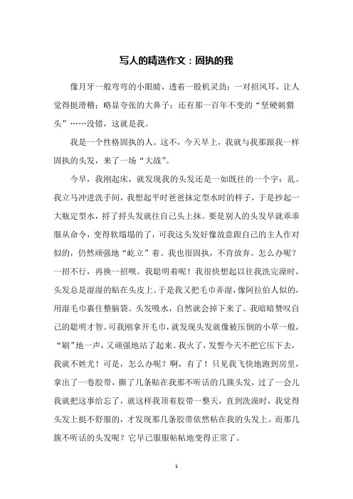 写人的精选作文：固执的我