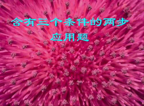含有三个已知条件的应用题课件