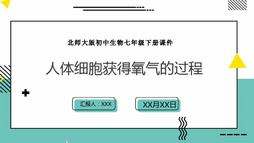 北师大版初中生物七年级下册课件第10章第2节人体细胞获得氧气的过程第1课时PPT模板