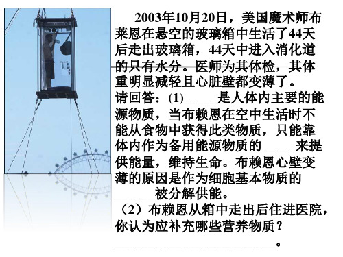 《合理膳食与食品安全》课件