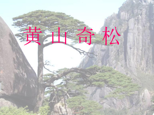 第16课_黄山奇松PPT课件