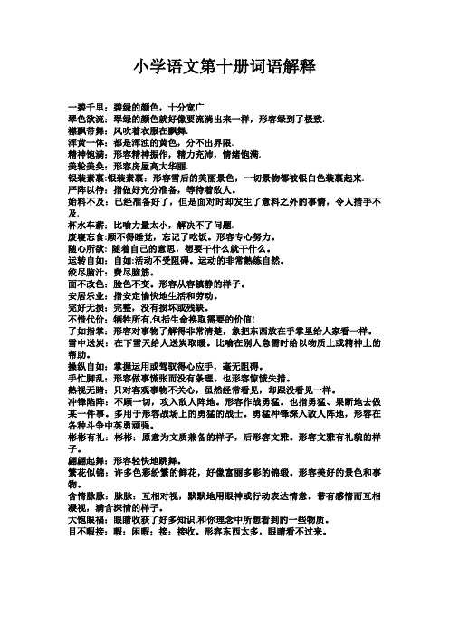 小学语文第十册词语解释