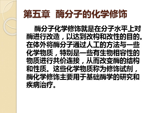 酶分子的化学修饰