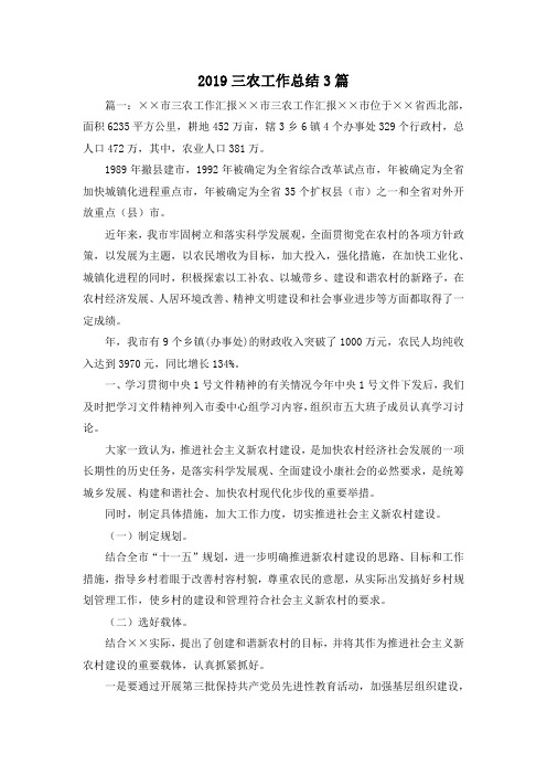 工作总结-2019三农工作总结3篇 精品