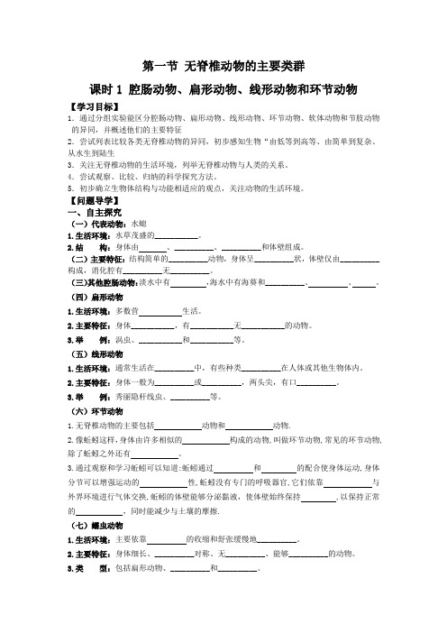 腔肠动物、扁形动物、线形动物和环节动物