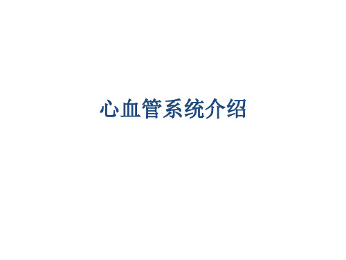 心血管系统介绍
