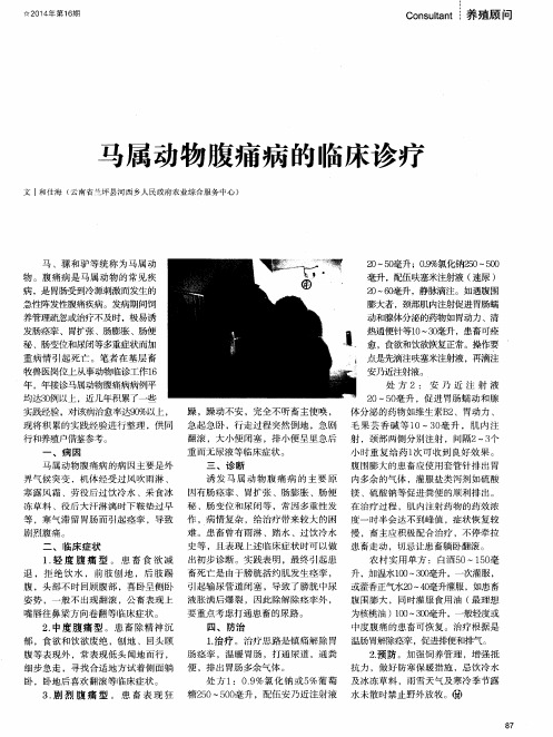马属动物腹痛病的临床诊疗