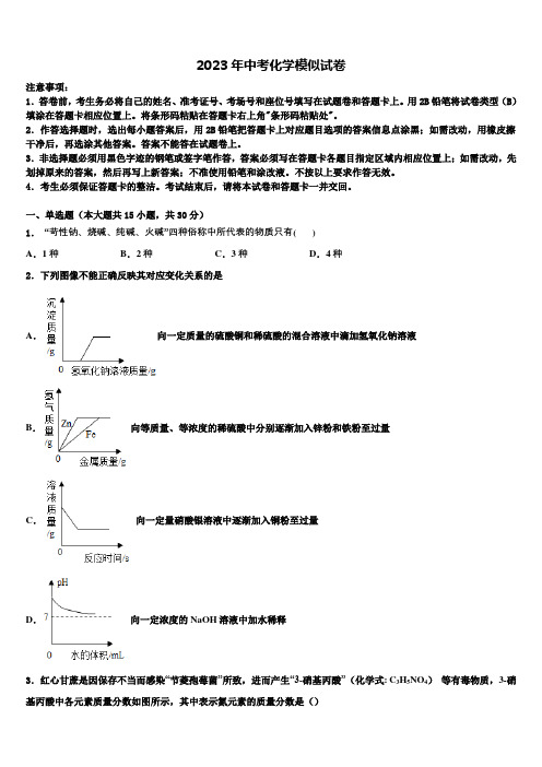 广州市广大附中2023届中考化学模拟试题含解析