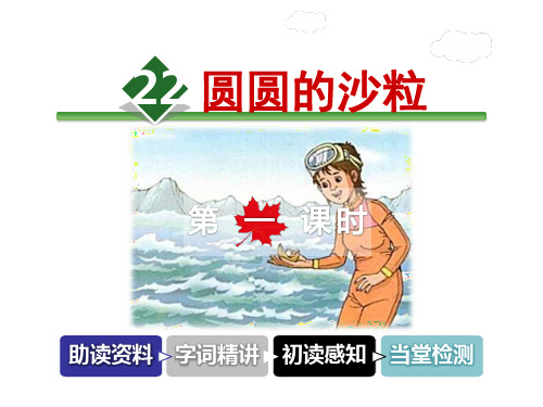 北师大版三年级语文上册《22.圆圆的沙粒》课件第1课时