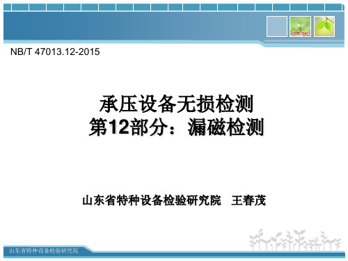 47013.12-漏磁检测