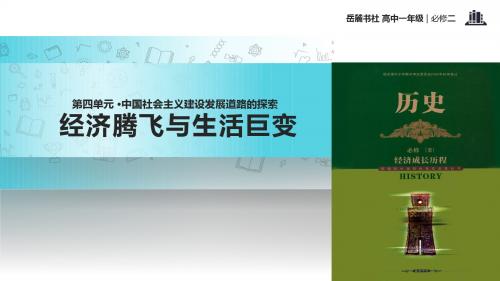 高中历史岳麓版必修二21【教学课件】《经济腾飞与生活巨变》