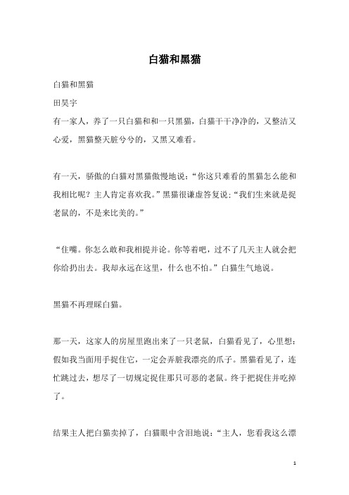 白猫和黑猫_1