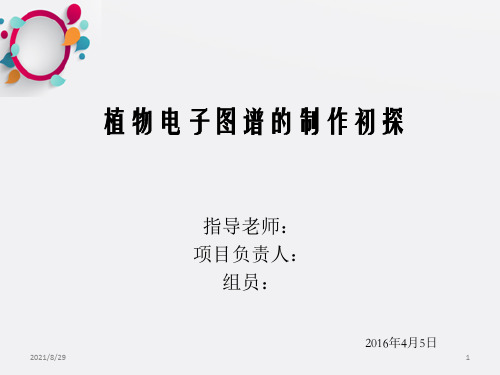 《大学生创新》PPT课件_OK