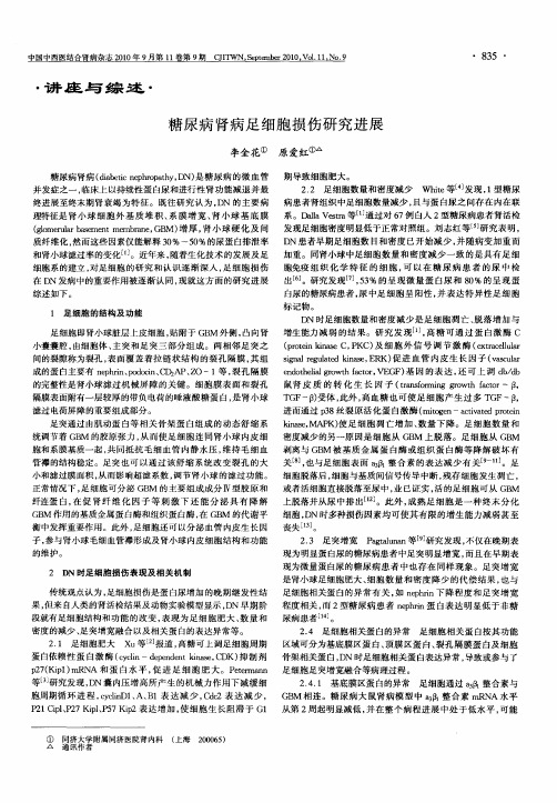 糖尿病肾病足细胞损伤研究进展