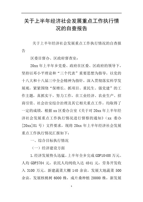 关于上半年经济社会发展重点工作执行情况的自查报告