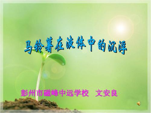 马铃薯在液体中的沉浮方案