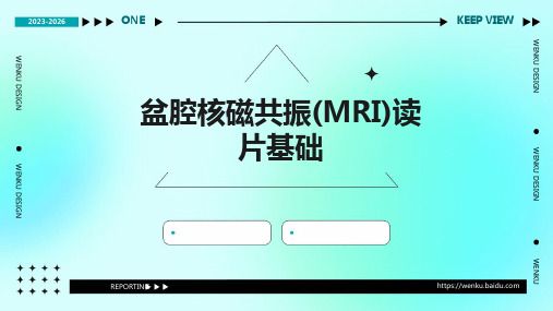 盆腔核磁共振(MRI)读片基础