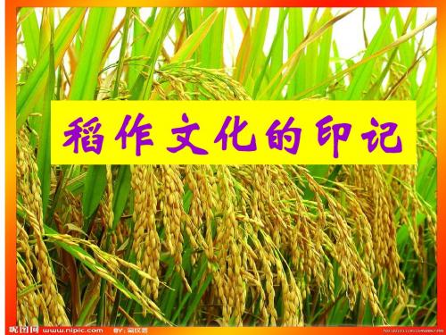 稻作文化的印记