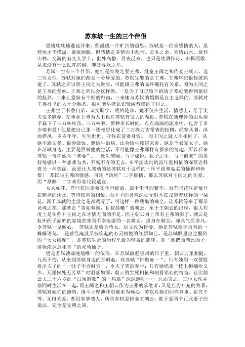 苏东坡一生的三个伴侣